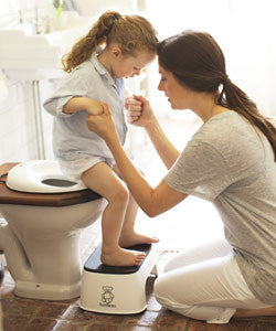 BabyBjorn Toilet Trainer Seat